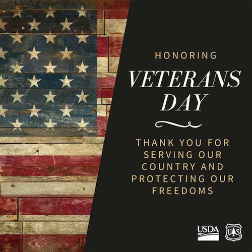 Veterans Day Thank You Forest Service