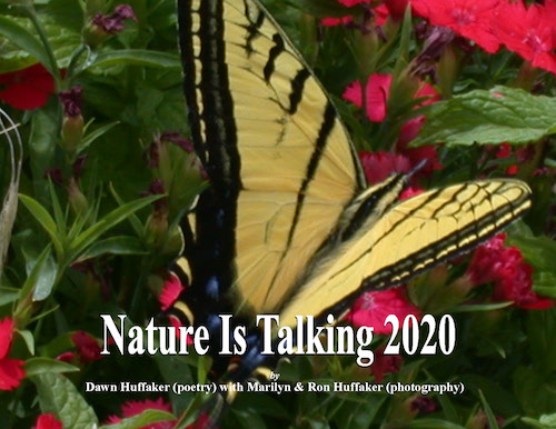 nature is talking 2020 standard final page 01