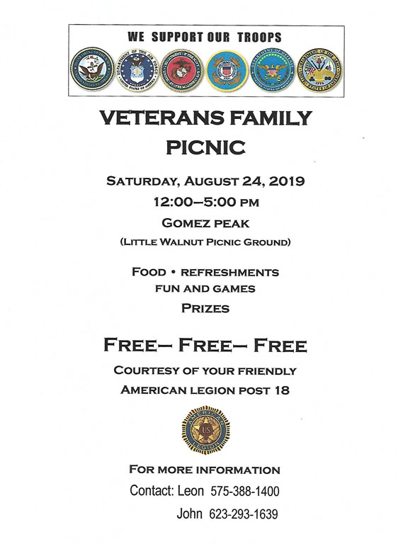 veterans picnic 2019 1