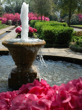 bellingrath gardens and home azalea fountain plaza 2 35