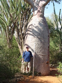zach with baobab tree
