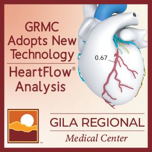GRMC Heartflow analysis