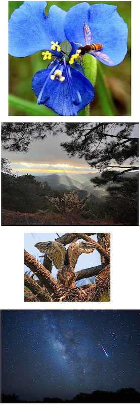 gila national forest 2023 photo contest winners 50