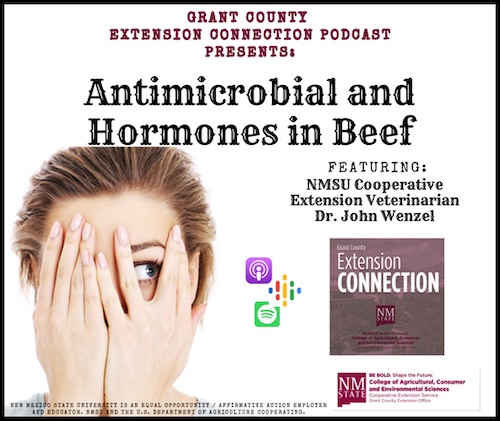 anti microbial and hormones