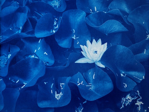 CydPeroni LilyPond