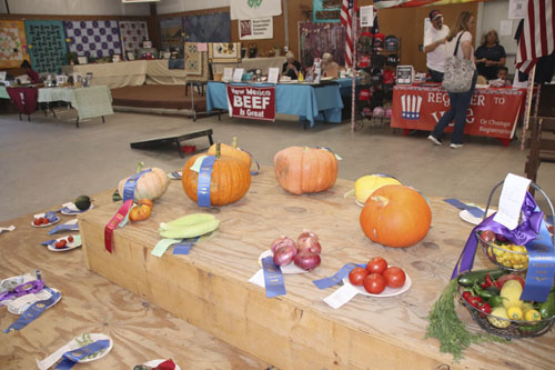 img_6436.jpg
