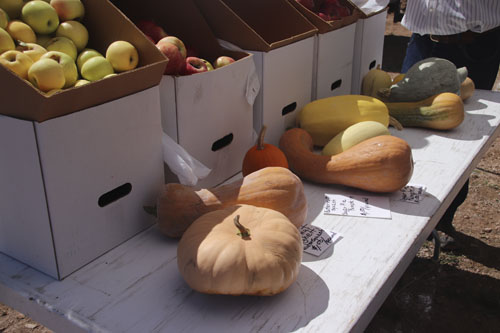img_6490.jpg