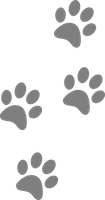 DogPaws