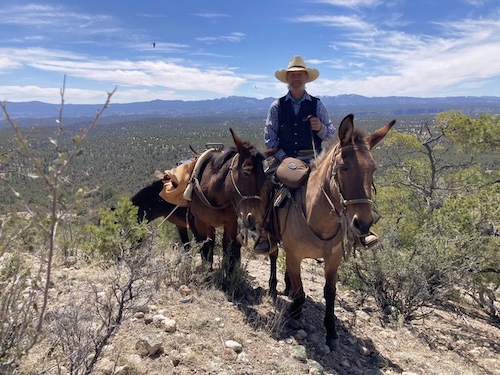 TrailHorse