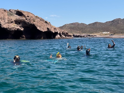 Snorkelers