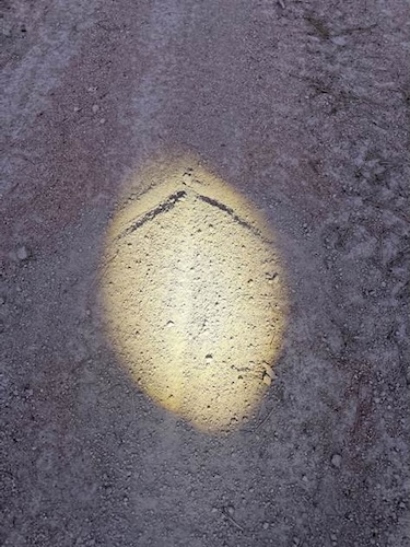 arrow seen in flashlight