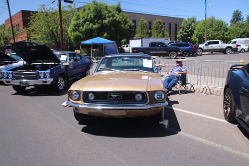 img_9687.jpg