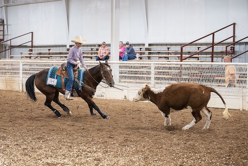 556137209 122183260250378656 6743693265046874689 n