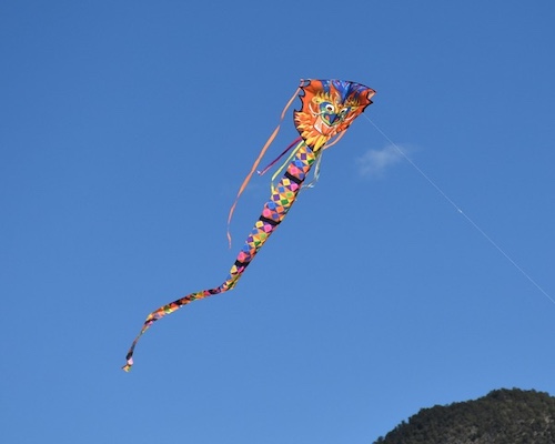 Kites3