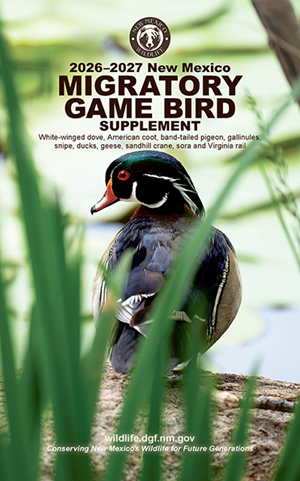 Migratory Birds Rules