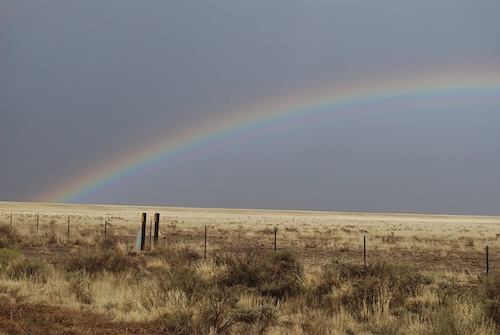 rainbow reserve catron county linnea hendrickson may 28 2009 40