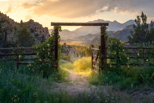 garden and wilderness