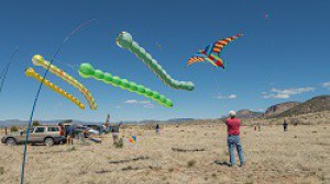 Kitefest 1a.jpg