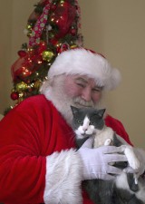 pet and santa.jpg