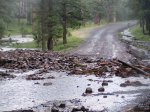 Flood Effects on Gila National Forest Roads