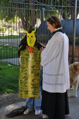 2014 Blessing of Animals