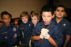 Cub scouts help out