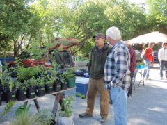 Silver City Farmers' Market 2015 Opening Day