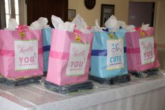 First Born and Woman's Club team up for baby shower 082016