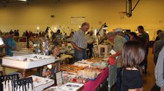 Gem and Mineral Show 2016