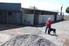 High Desert Humane Society holds vaccination clinic 091016