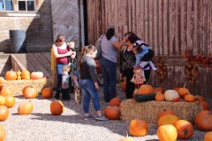 Pumpkin Patch at Old Hurley Store 20161022
