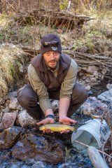 Gila trout flown in by helicopter to stock Mineral Creek