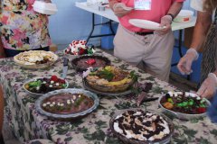 CLAY Festival activities on Saturday, July 29, 2017