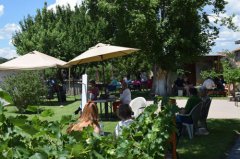 La Esperanza Winery Celebrates 8th anniversary 080517