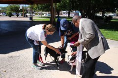 Blessing of Animals 100618