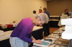 Gem and Mineral Show 090118