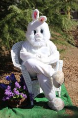 Kiwanis Club hosts Easter Egg Hunt 033118