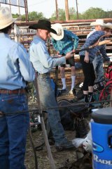 Wild, Wild West Pro Rodeo bull riders 061318