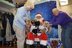 Santa at Our Paws Cause