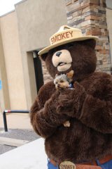 Smokey Bear has a 74th birthday party 080918