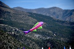 Whitewater Mesa Kite Flying Festival 040718