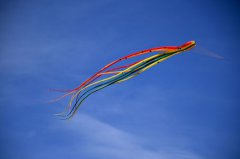 Whitewater Mesa Kite Flying Festival 040718