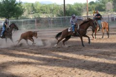 Cowboy Draw at Baird Arena by Kenney 080119