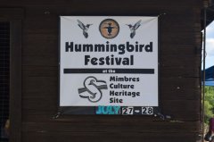 Hummingbird Festival - Mimbres 072719