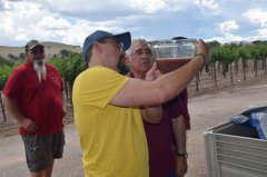 La Esperanza Winery hosts 10th anniversary celebration 080319