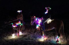 Santa Clara Lighted Christmas Parade 121419