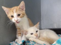 Louie_and_Leif.jpg