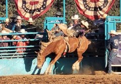 Wild, Wild West Rodeo Day 2 060923