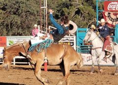 Wild, Wild West Rodeo Day 2 060923