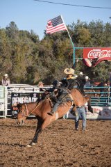 Wild, Wild West Rodeo 061023